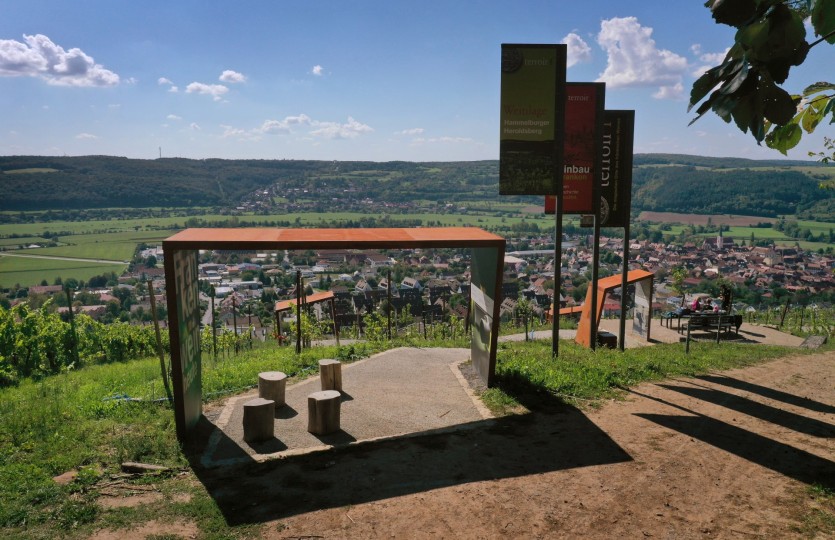 Zum magischen Ort des Frankenweins - Das Hammelburger terroir f