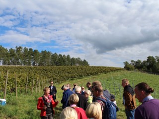 Weinwanderung - Natur pur  20.09.25