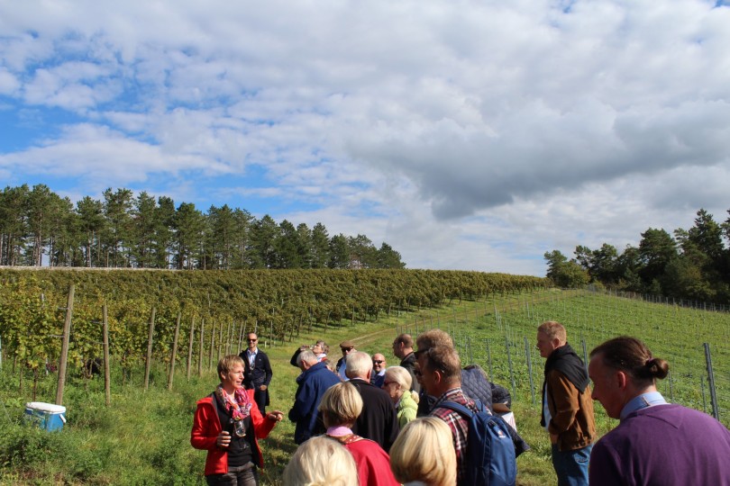 Weinprobe bei Kerzenschein