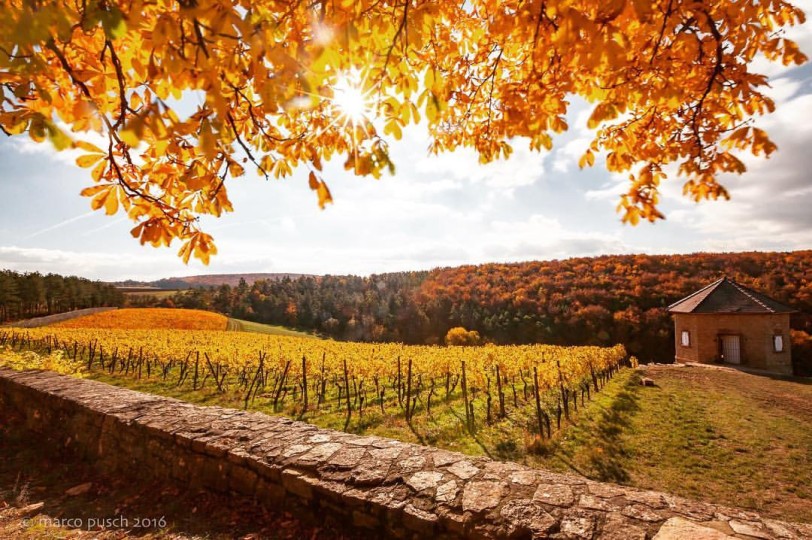 Weingut Lange - Schloss Saaleck