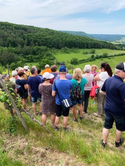 Weinbergs- und Naturführung - Mit allen Sinnen genießen