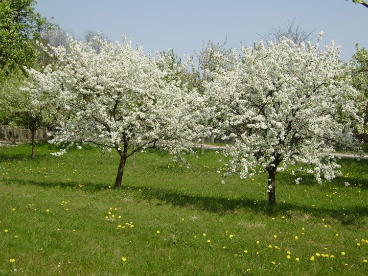 Brennerweg - Saisoneröffnung am 1. Mai