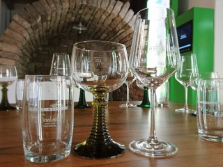 Wein + Glas Weinseminar