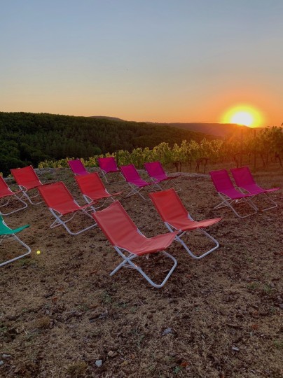 geführte SternenWeinwanderung + Weinprobe