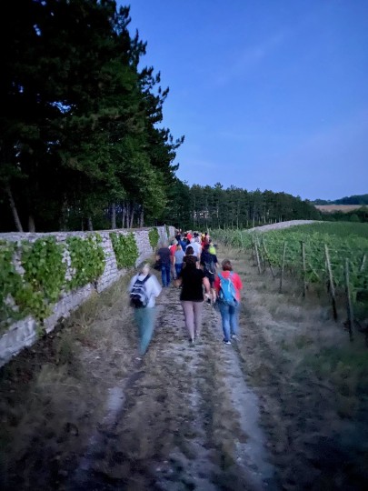 geführte SternenWeinwanderung + Weinprobe