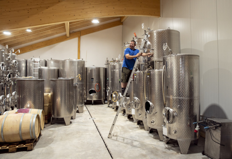 Weingut Hümmler