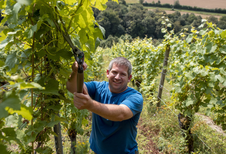 Weingut Hümmler