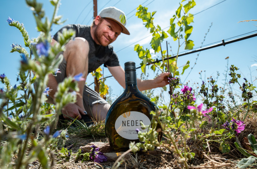 Weingut Neder