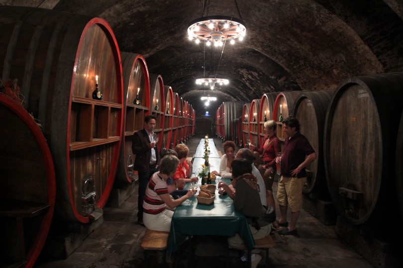 Weinbergs- und Naturführung - Mit allen Sinnen genießen