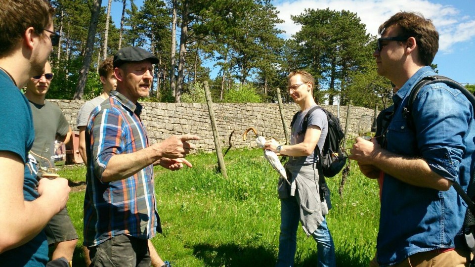 geführte Weinwanderung + Weinprobe